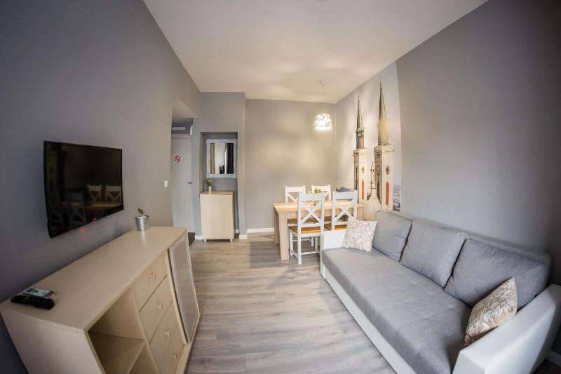 One-Bedroom Apartment image 4