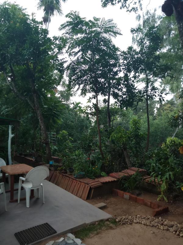 Damsen Homestay Ella - image 8