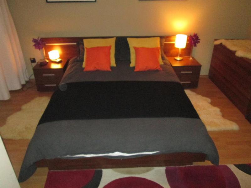 One-Bedroom Apartment image 4