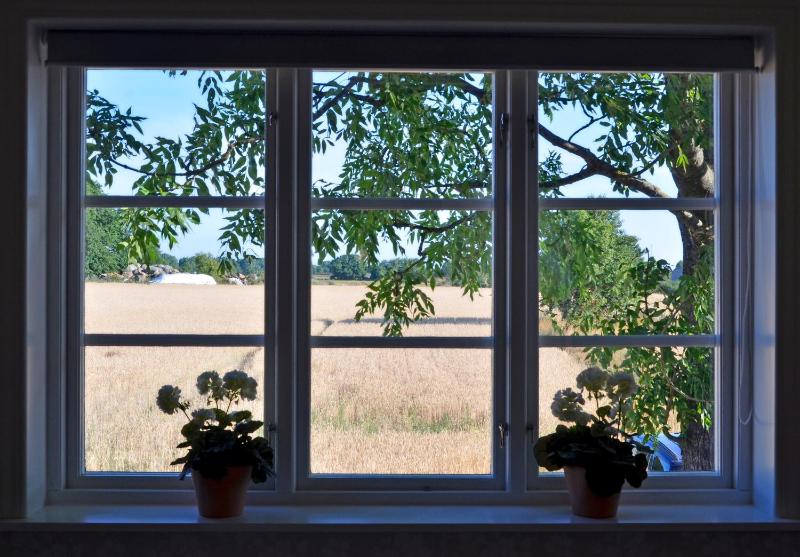 Duplex Apartment image 3