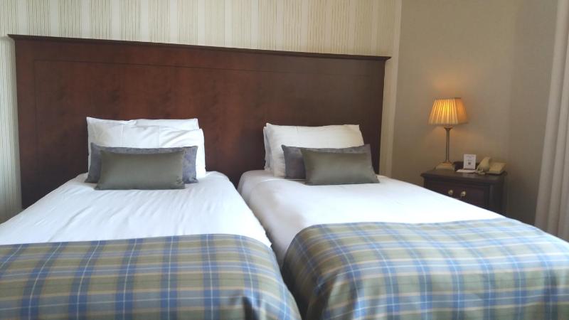 Superior Twin Room image 2