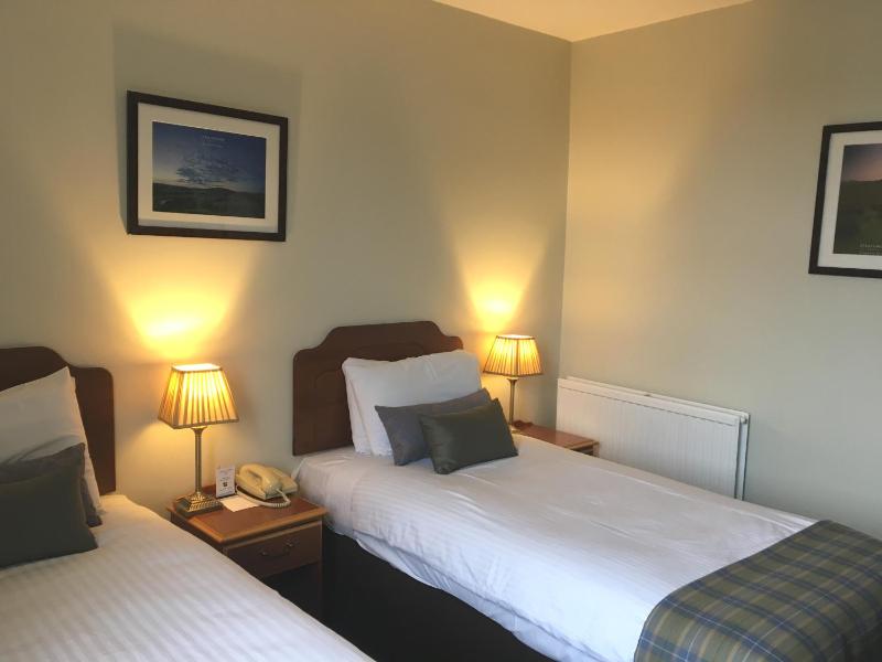 Superior Twin Room image 4