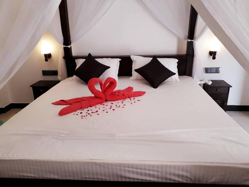 Turtle Reef Guest - image 13