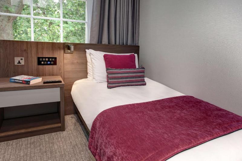 Cozy Single Room image 2
