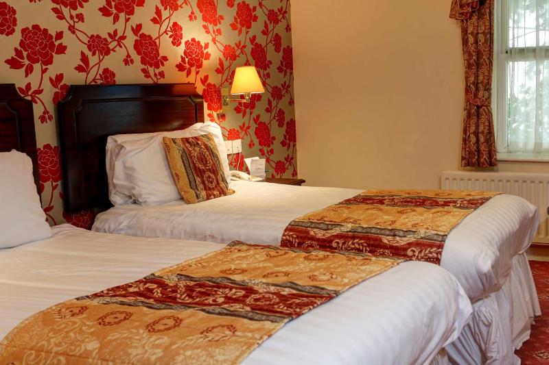 Standard Twin Room image 1