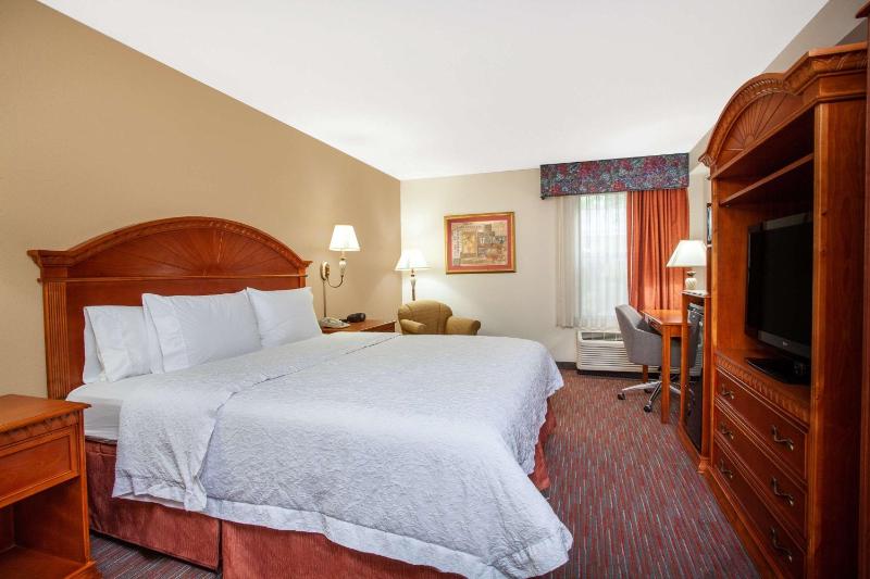 King Room - Non-Smoking image 3