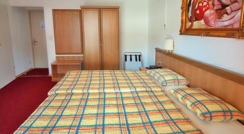 Hotel Dischma - FREE BUS AND TRAIN TICKET - image 20