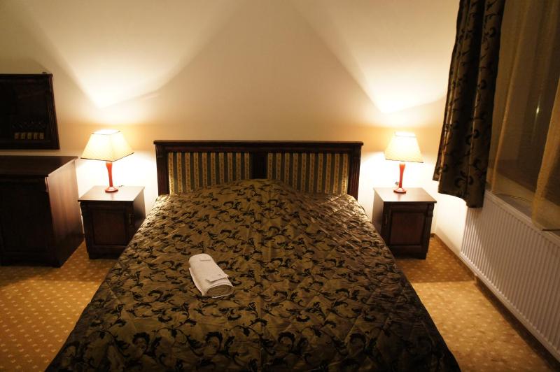 Deluxe Single Room image 2