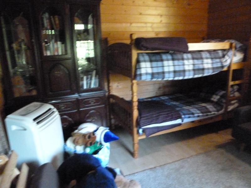 Log Cabin image 4