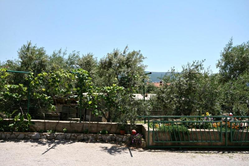 One-Bedroom Apartment with Terrace image 1
