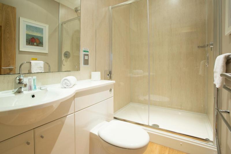 Premier Double Room image 3