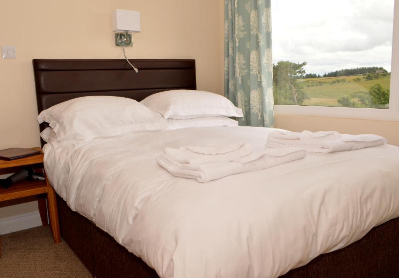 Superior Single Room image 1