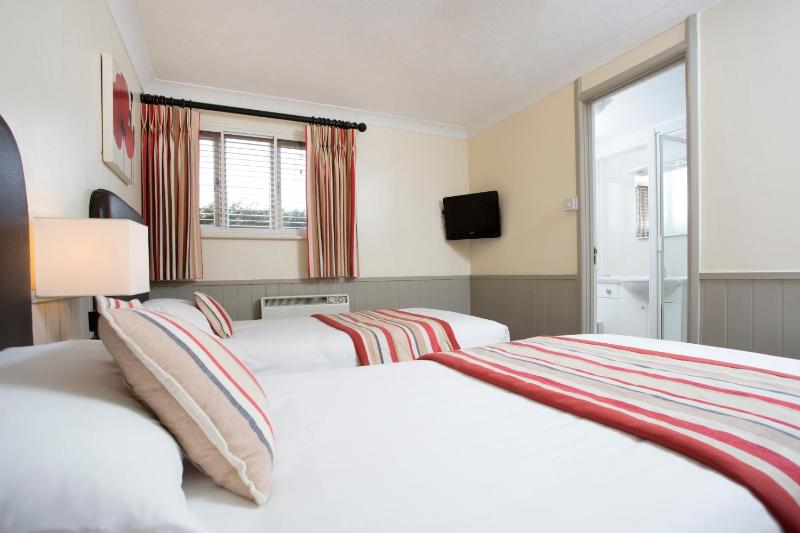 Standard Twin Room image 4