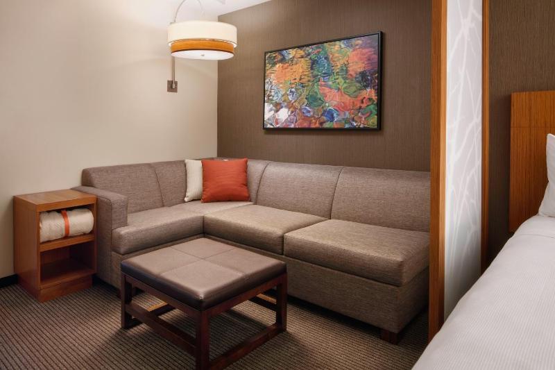 One-Bedroom King Suite with Sofa Bed image 4