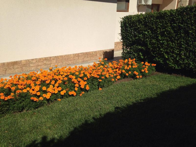 Sunrise Apartments - image 23