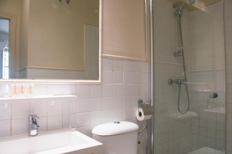 Deluxe Double or Twin Room image 3