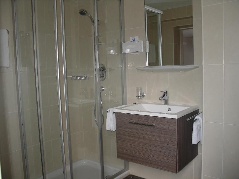 One-Bedroom Apartment image 3