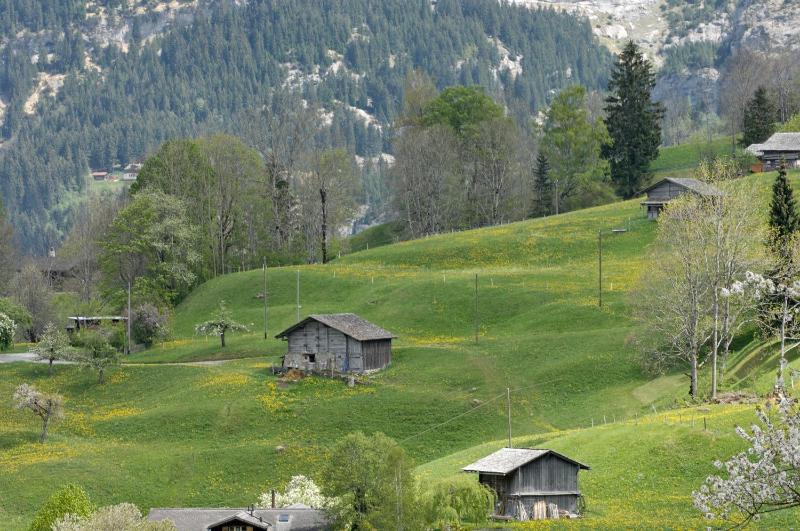 Suite with Balcony and Mountain View for 4 Persons image 4