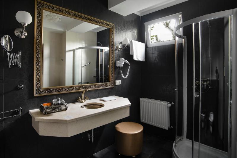 Business Single Room image 2