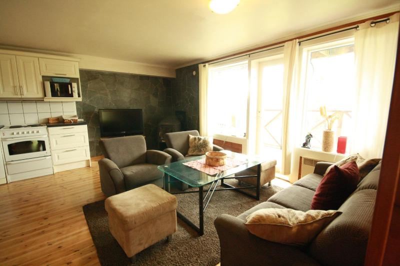 Apartment with Lake View image 2