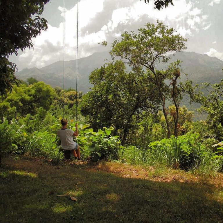 Pepper Hills Hostel & Cottages - image 13