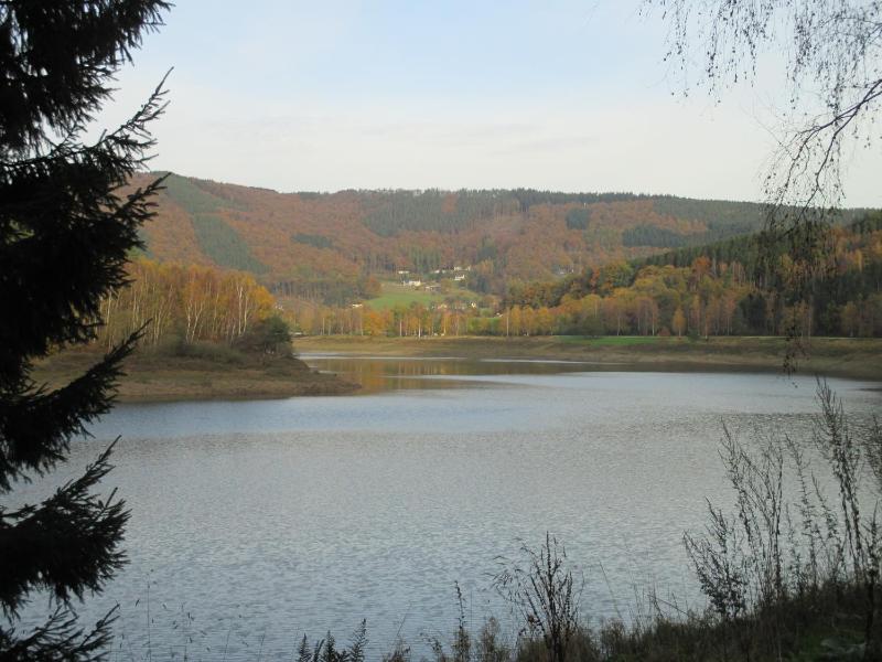 One-Bedroom Apartment image 3