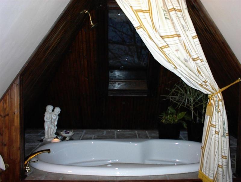Deluxe King Suite image 3