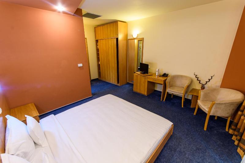 One-Bedroom Apartment image 4