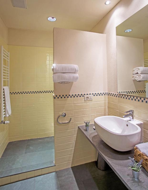 Premier Double or Twin Room image 4