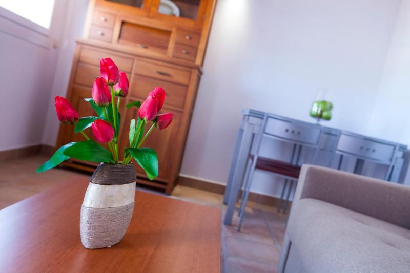Apartamentos Mexico - image 6