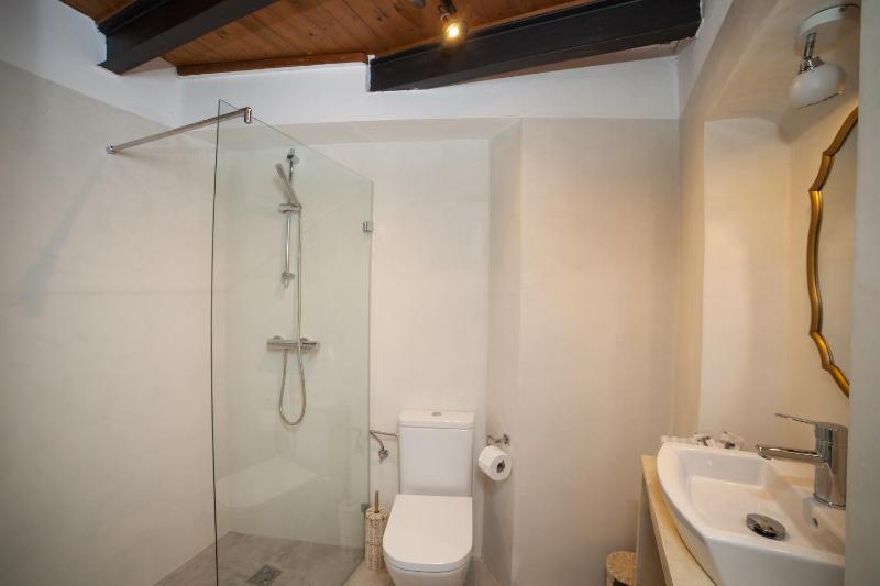 Apartahotel Siglo XIX - image 4