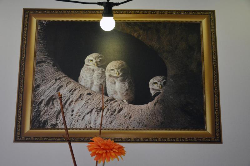 Budget private double room image 4