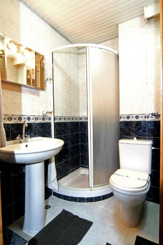 One-Bedroom Apartment (4 Adults) image 3