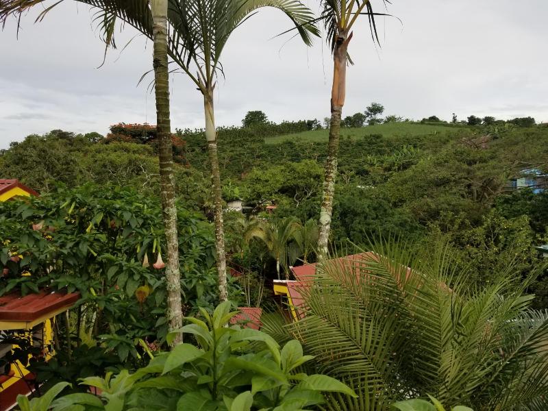 La Terraza Guest House B&B - image 7