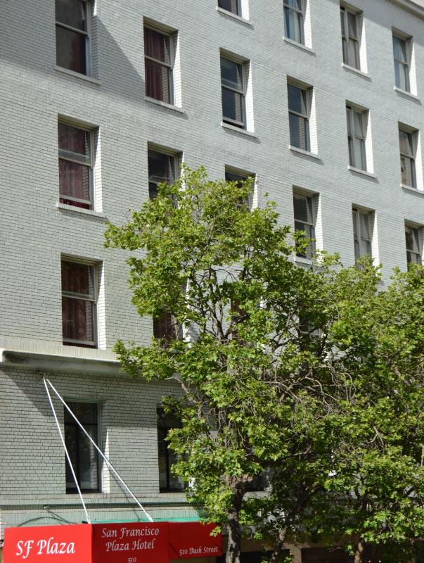 SF Plaza Hotel - image 15