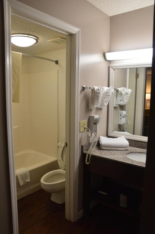 King Room - Non-Smoking image 3
