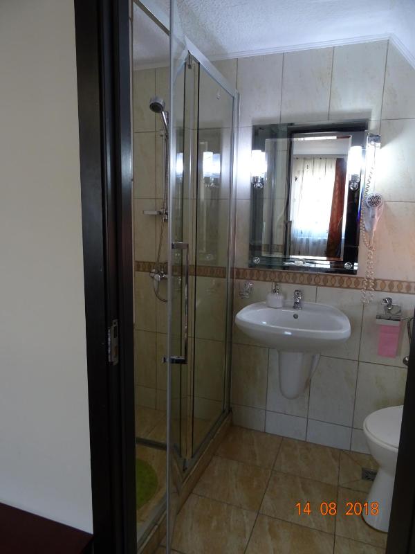 Double or Twin Room image 4