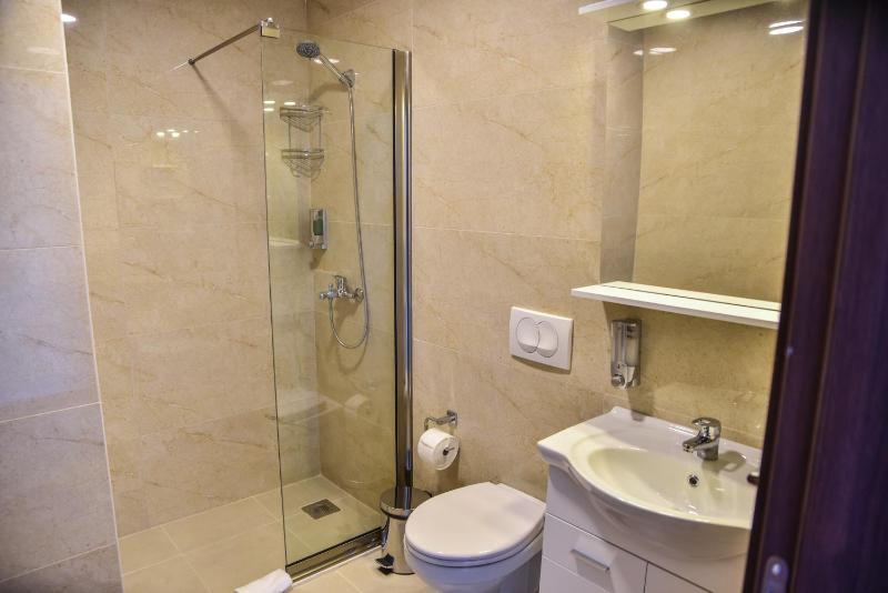 Vista Apartments - image 11