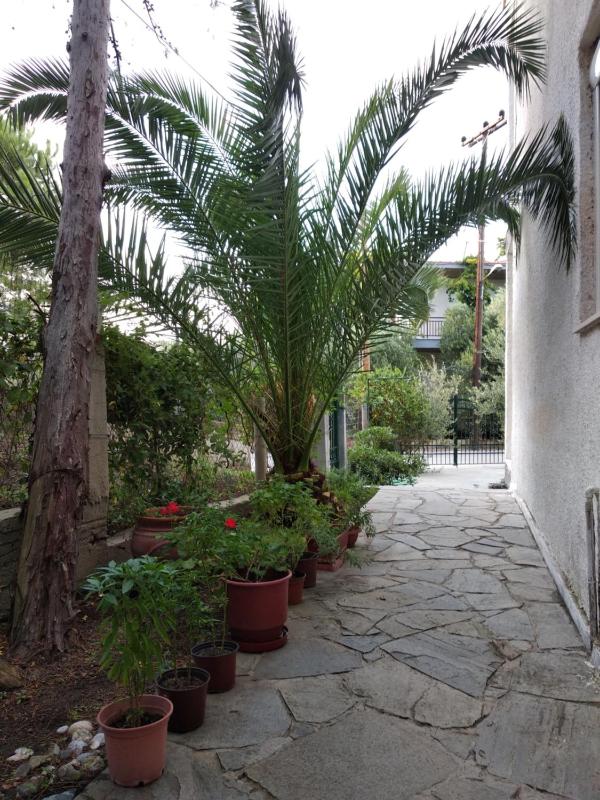 Velikis Apartments Images
