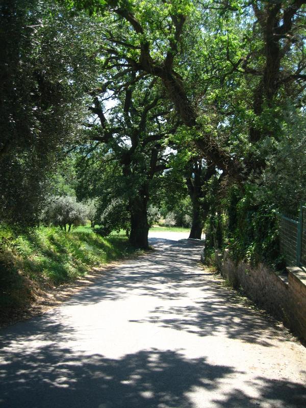 Appartamento Bella Vista - image 11