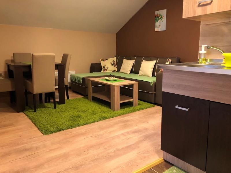 One-Bedroom Apartment image 4