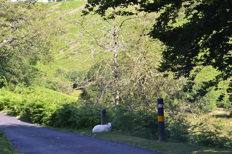 Holiday Home image 2