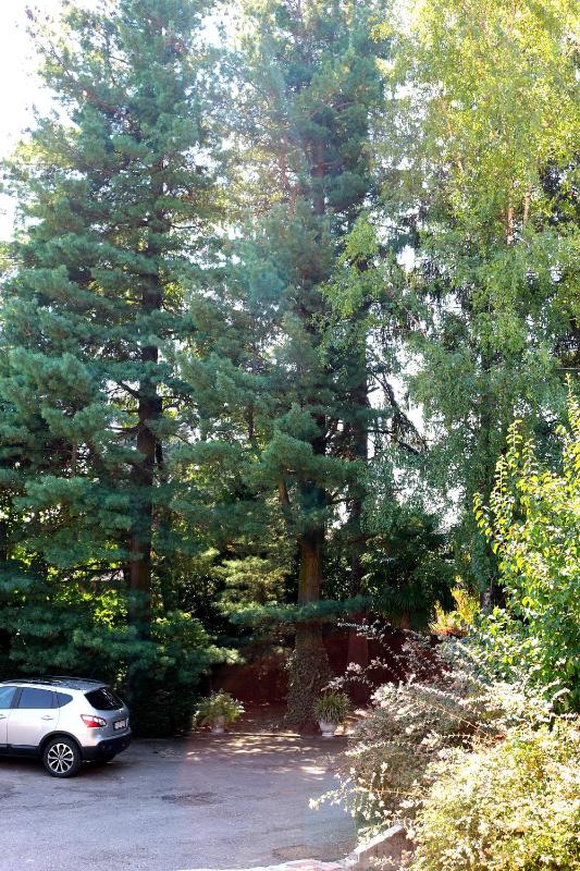 Deluxe Apartment image 4