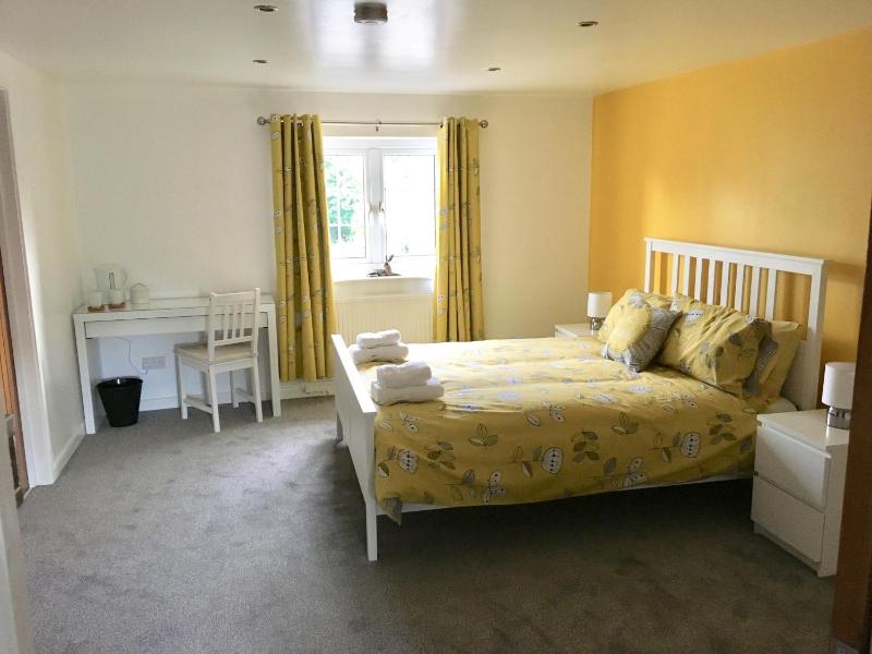 Deluxe King Room image 1