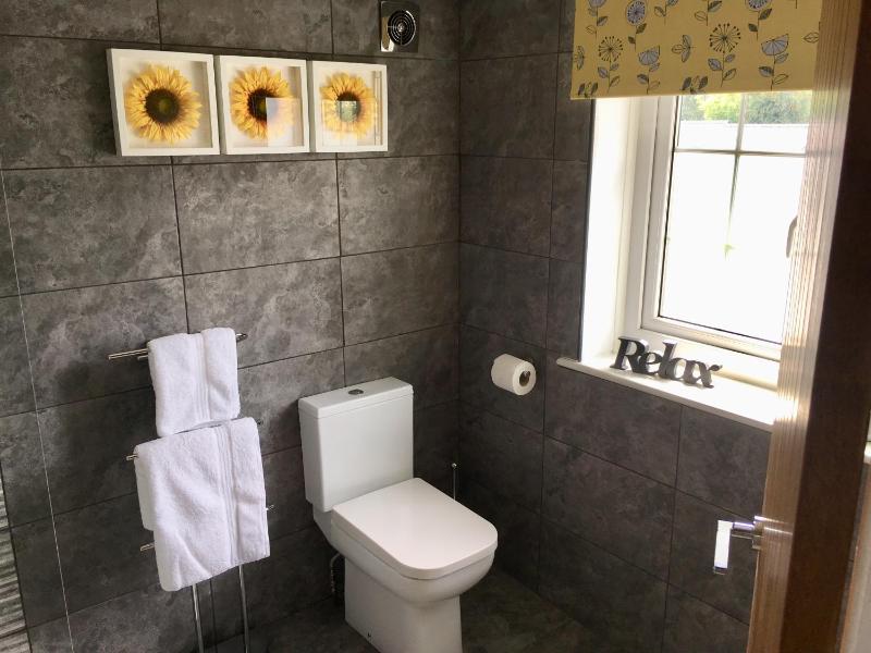 Deluxe King Room image 3