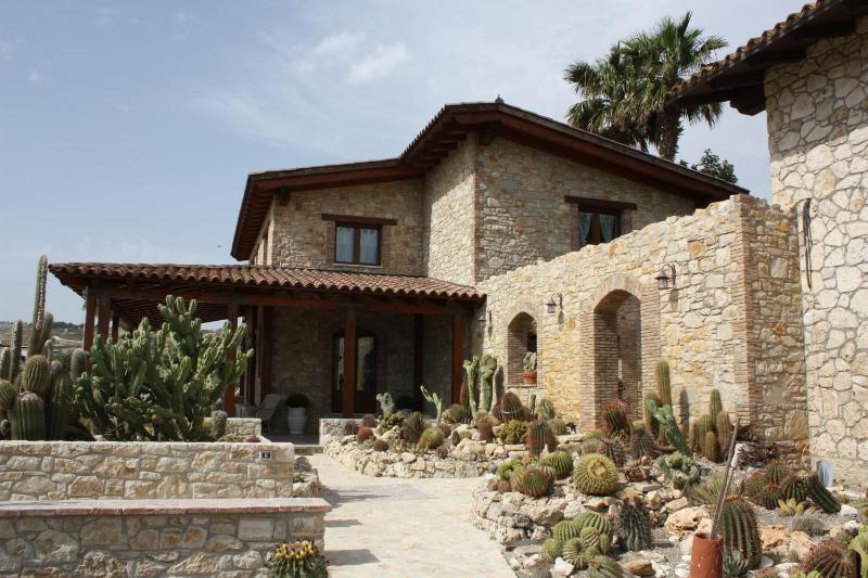 Garden Cactus - image 42