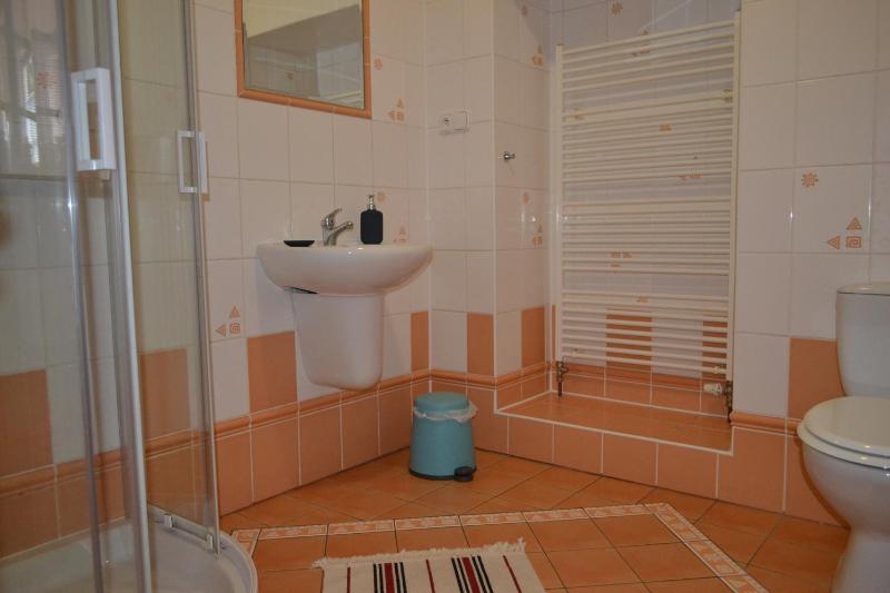 One-Bedroom Apartment image 4