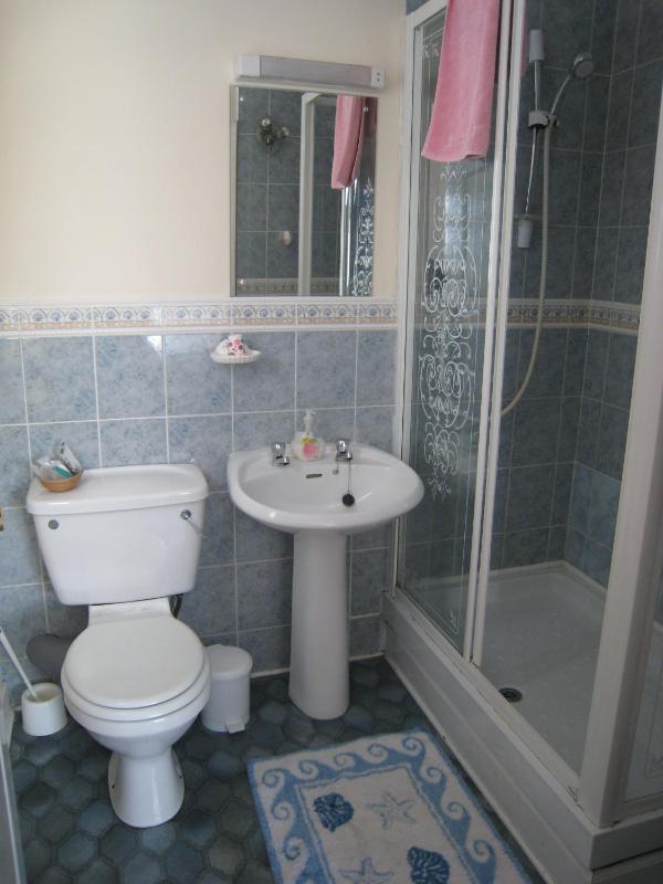 Family Room (2 Adults + 2 Children) image 3