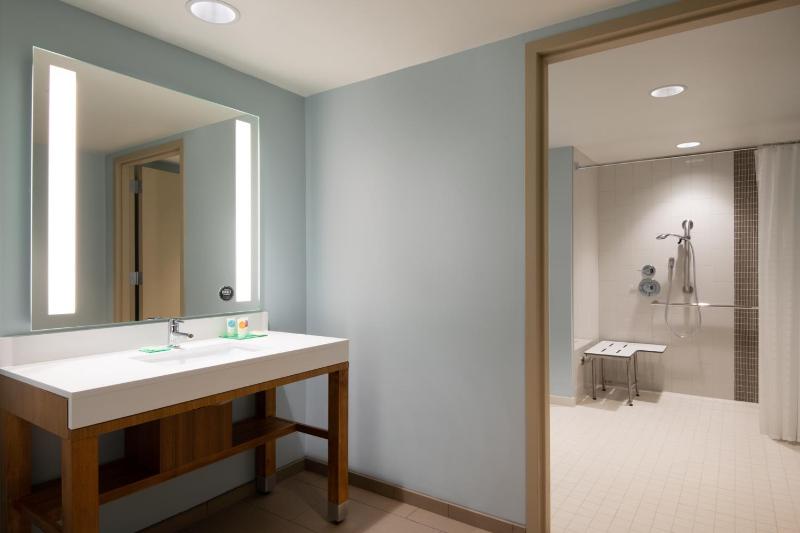 King Room with Sofa Bed and Roll-In Shower - Disability Access image 1
