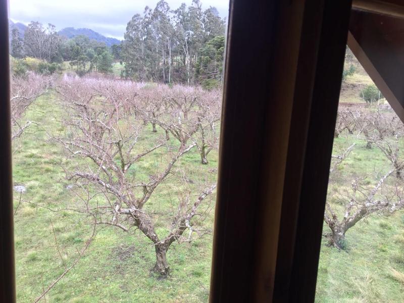 Pousada Sabor da Roça - image 15